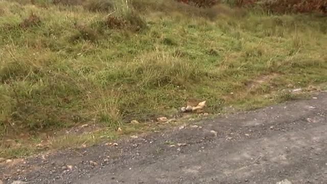 Encuentran en Cantabria el cadáver de una mujer presuntamente asesinada
