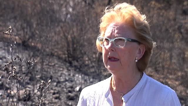 Controlado el incendio en La Granada de Riotinto tras calcinar más de 4.000 hectáreas