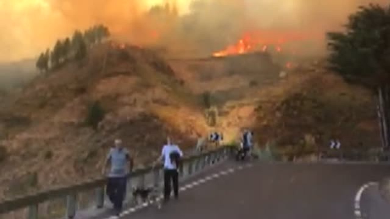 Un incendio en Gran Canaria calcina más de 1.000 hectáreas