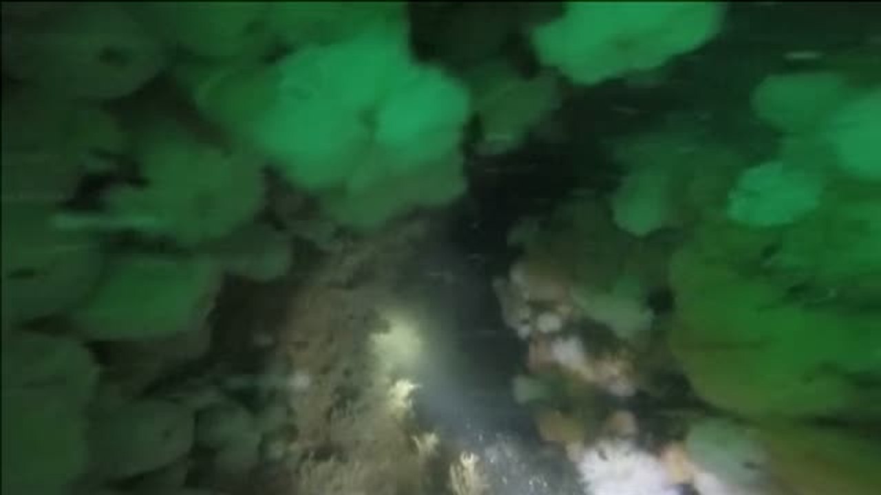 Hallan un submarino de la Primera Guerra Mundial