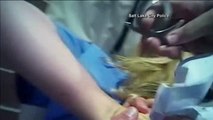 La Policía de Utah arresta a una enfermera por negarse a entregar una muestra de sangre
