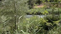 Encuentran el cuerpo sin vida del niño desaparecido en el río Cabriel