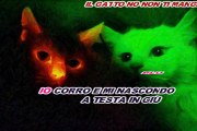 Zecchino D'Oro - Un topolino, un gatto e... un grande papà (karaoke)