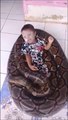 Ce bébé joue avec son animal de compagnie : un énorme python