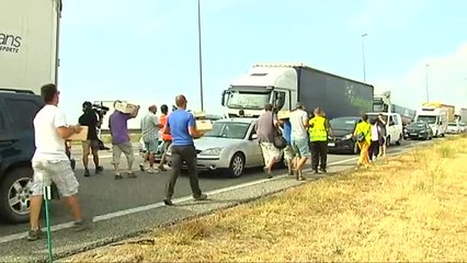 Download Video: Cientos de agricultores protestan por la caída del precio de la fruta