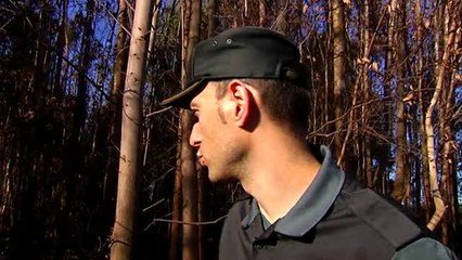 Siguiendo la pista de los pirómanos en verano