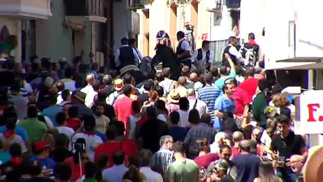 Segorbe celebra su popular entrada de toros y caballos