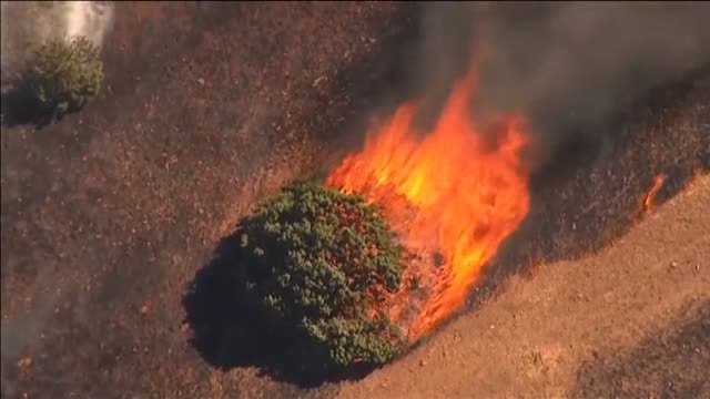 Los incendios forestales se ceban con el estado de Oregón