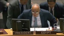 El Consejo de Seguridad de la ONU guarda un minuto de silencio por los atentados de Cataluña
