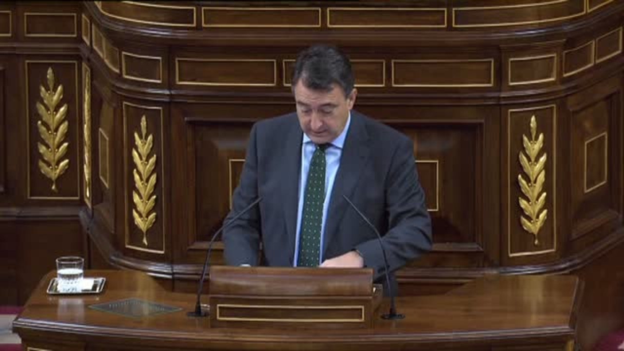 El PNV acusa a Podemos y PSOE de utilizar el Pleno para medirse en una "pelea de gallos"