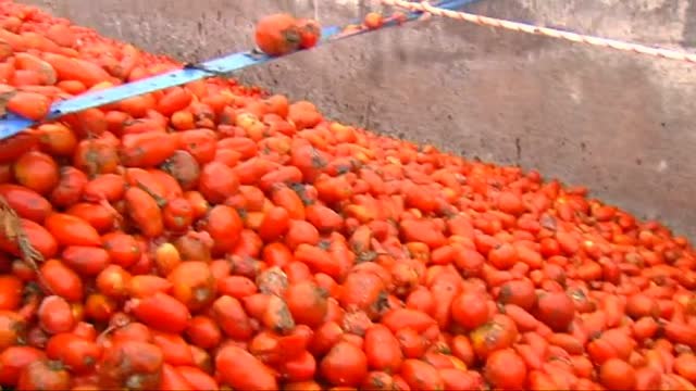 Más seguridad en la Tomatina de Buñol