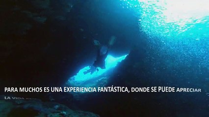 Carlos Michel Fumero explica el buceo nocturno