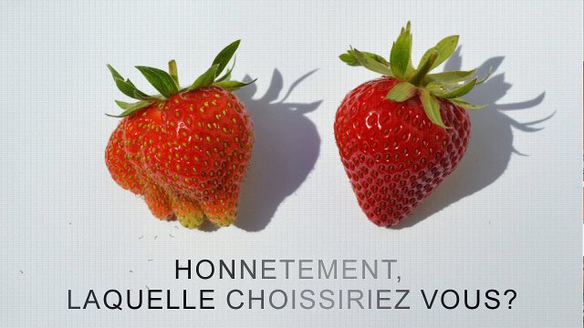 l'influence des sens sur le gout- concours CGénial 2019