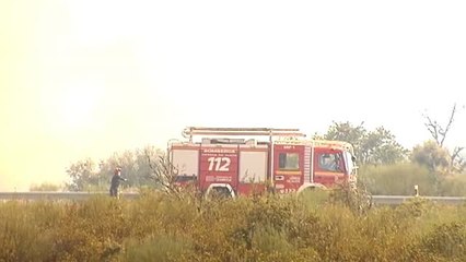 Las llamas amenazan la localidad zamorana de Pino del Oro