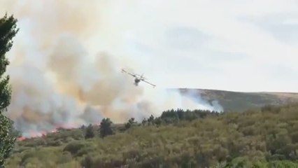 Incendio en Gredos