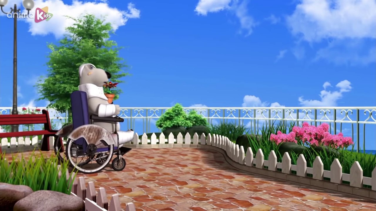 Bernard Bear | La plongé | Bernard l'Ours | Dessin animé pour les enfants |