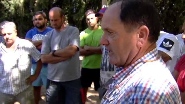 PACMA denuncia el deporte valenciano de tiro y arrastre