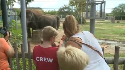 Primera aparición pública del elefante asiático nacido en el zoo de Houston