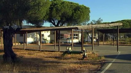 Todos los linces vuelven a 'El Acebuche'