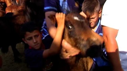 Este año se celebra la edición 450 de la Rapa das Bestas