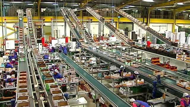 Los fines de semana de tres días, más cerca