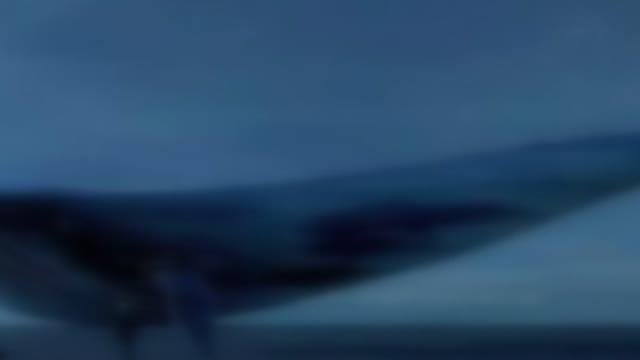 Condenado a 3 años y 4 meses el responsable del juego mortal La ballena azul