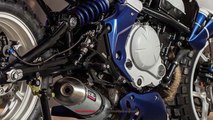 2019 Beautiful Kawasaki ER-6N Custom Version Inspired From Bugatti Supercar | Mich Motorcycle