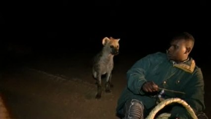 Así alimenta un hombre a las hienas en Etiopía