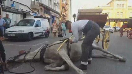 Las altas temperaturas afectan a los animales