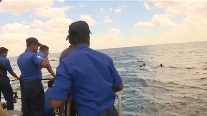 Un elefante en alta mar