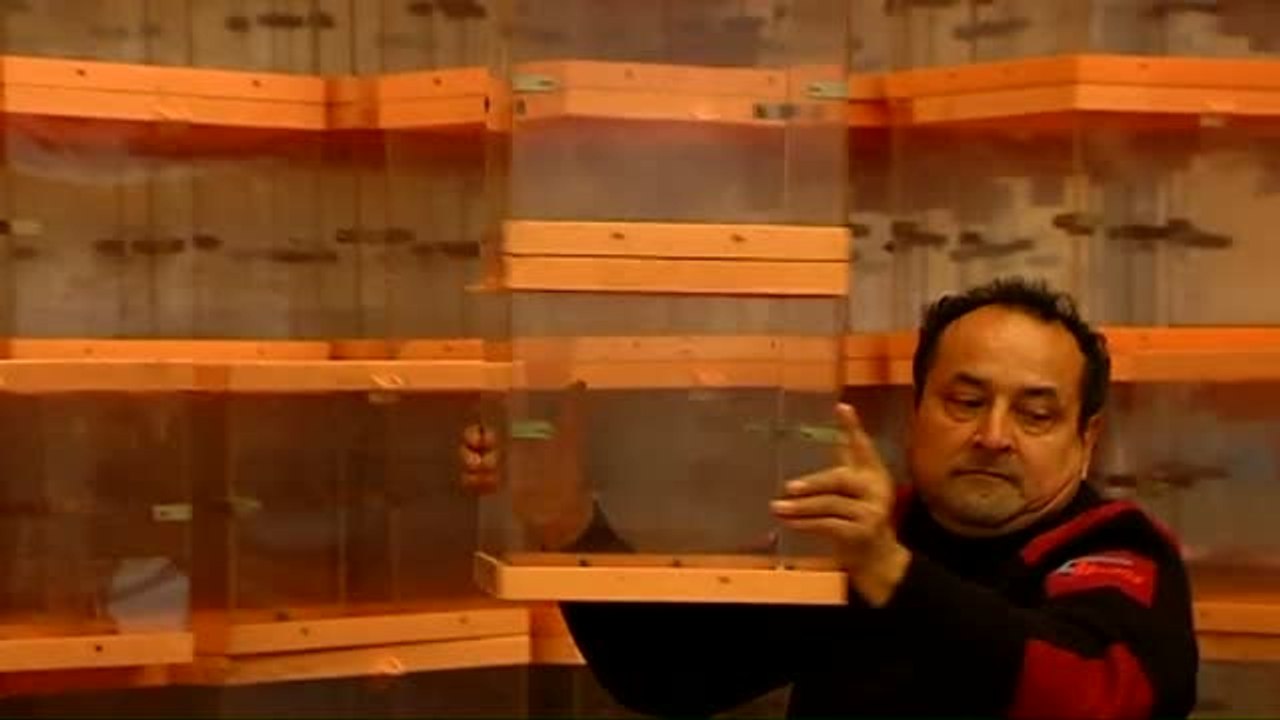 El Govern se queda sin proveedores de urnas para el referéndum