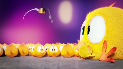 Where is Chicky ? Funny Chicky #519 | Chicky Français Dessin Animé Pour Enfant 2018
