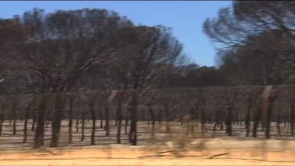 Vuelta a la carretera 494 Matalascañas - Mazagón