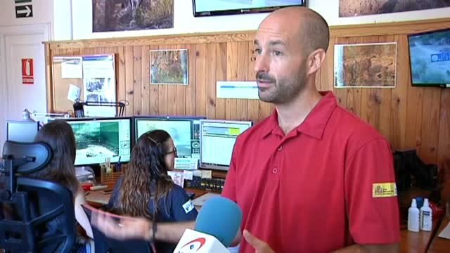 Linces ibéricos amenazados por el fuego en el parque de Doñana