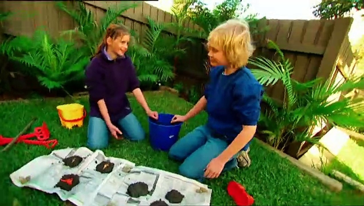 Backyard Science   S2E26   Perfect the art of Taekwondo