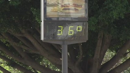 La AEMET da el primer aviso por el calor