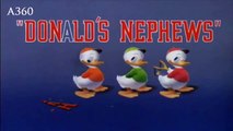 Disney Donald Duck : Donald's Nephews | Disney Cartoon Episodes For Kids