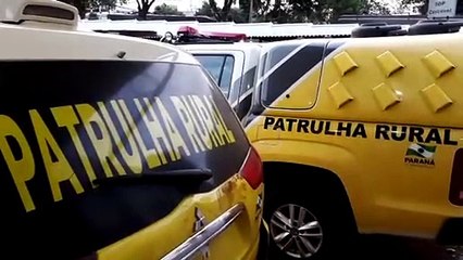 Polícia Militar detém homem com espingardas em Sede Alvorada