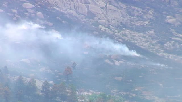 La sequedad de los bosques hace que este verano el riesgo de incendios sea alto