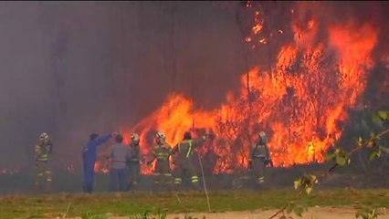 El calor, la sequía y la falta de humedad, elevan el riesgo de incendio