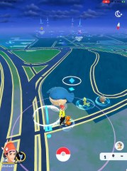 CHIMCHAR IV 100 CP 785 POKEMONGO