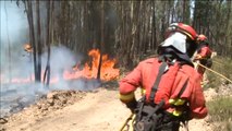 Los bomberos de Portugal dicen ahora que el incendio fue provocado