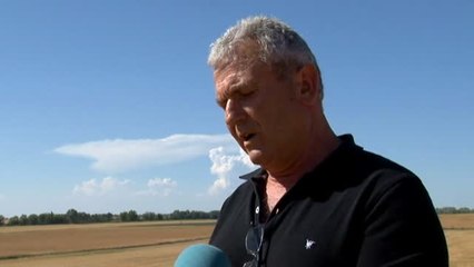 La sequía deja en Castilla y León pérdidas de 1200 millones de euros