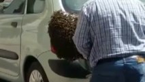 Las abejas colonizan un coche en Murcia