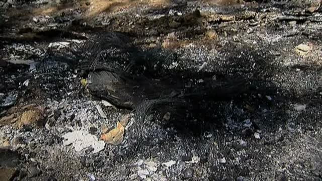 Registran la vivienda de la policía local detenida por la muerte de su pareja