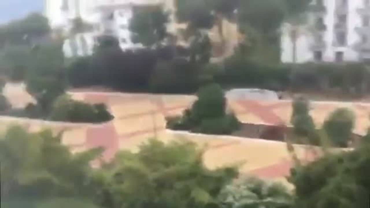 Dos personas siguen hospitalizadas tras los atropellos y el accidente que provocaron dos jóvenes británicos en Marbella