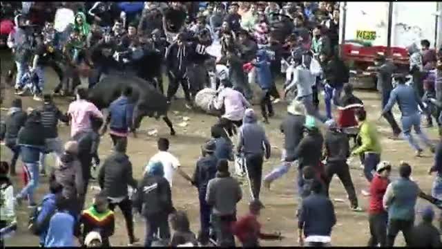 Al menos doce heridos en un festejo taurino en Perú