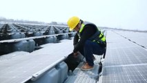 La huerta solar flotante más grande del mundo está en China
