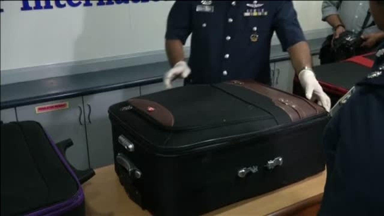 Encuentran 330 tortugas de la especie más amenzada del mundo, ocultas en maletas