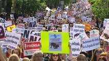 Miles de personas se manifiestan en Madrid en contra de los toros